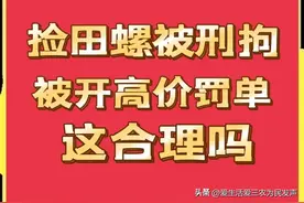 捡田螺被刑拘、被开高价罚单，这合适吗？看百姓们如何说？图片