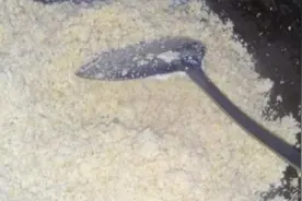 豆腐渣怎么发酵做肥料？图片