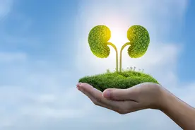 肾气足百病除！怕肾虚？养肾护肾从日常做起图片