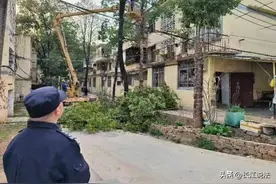 20米樟树被大风刮裂 民警启用无人机助力高空作业工人清障图片