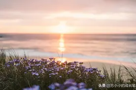 舒国治《理想的下午》，告诉你什么是真正有趣的灵魂图片