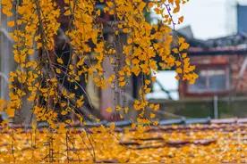 如果汉阳县没改为蔡甸区，如今是什么身份呢，沌阳区还是沙羡区？图片