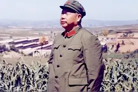 杨勇即将到沈阳军区任职，陈锡联不满接站安排，怒骂：一群迷糊蛋图片