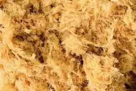 你以为肉松是什么做的，今天教你在家自己做，不干不柴，蓬松酥软图片