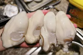 北海宵夜哪家强？「蚝友缘」生蚝配上加料98爽一爽！图片