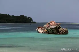 从怡然自得到打工生涯：一位吉林市国营屠宰厂下岗职工的历程图片