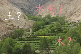 金木水火土究竟是什么东西图片