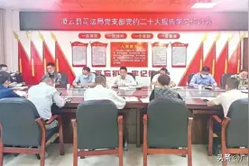 凌云县司法局 | “四大妙招”耕好“责任田”图片
