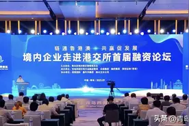 青岛西海岸新区举行境内企业走进港交所首届融资论坛活动图片