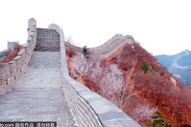 绝美长城赏花攻略，陶醉于漫山花枝疏影之间~图片