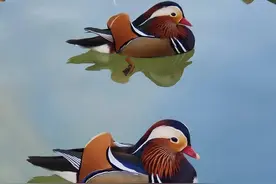 ＃走北京＃ 第一天 莲花池+军博+玉渊潭图片