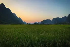 成年人最有水平的说话方式图片