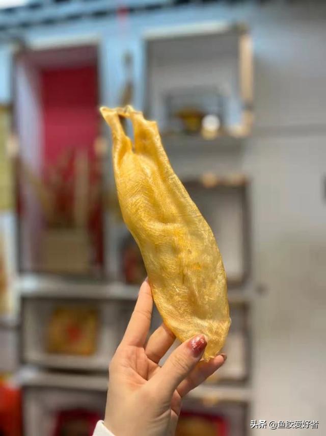 鳗魚花胶的作用及功效 2026年鳗鱼花胶的作用及功效图片