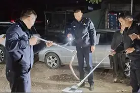 这天气也有蛇？云南一居民家惊现眼镜蛇！毒性有多猛？被咬怎么办图片