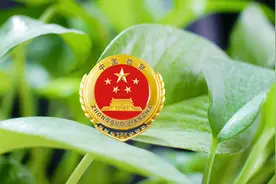 这堂开学必修课，请同学们打卡签到图片