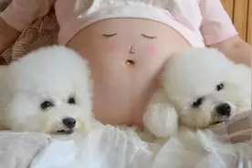 “以后没你这个女儿”，备孕女子坚持养狗，家人轮番“放狠话”图片
