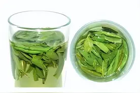 六安瓜片：世界上唯一无芽无梗的茶叶图片