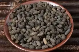 这种听起来挺灵的中药竟然是“老鼠”的粪便图片