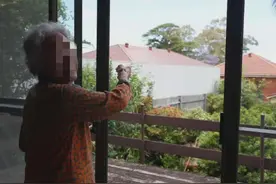 悉尼Eastwood华人住宅旁竖起4米高墙，98岁老人苦不堪言图片