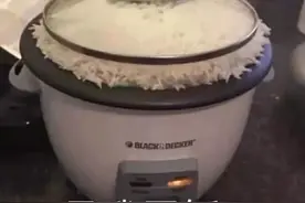 聊天表情包｜是我冒饭了图片