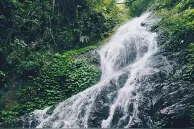 来海南看海，到七仙岭接福，假期运动量统统献给了这个热带雨林图片