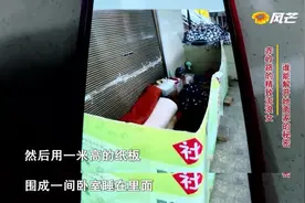 38岁会英语的流浪女睡大街，却过得相当精致：她的经历好像电视剧图片