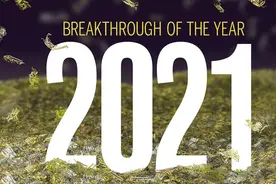 《科学》公布2021年度十大科学突破图片
