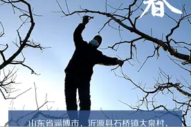 闪电海报丨把希望种在春天 齐鲁大地春耕正当时图片