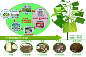 「环境卫生小黑板」远离塑料污染与绿色环保同行图片