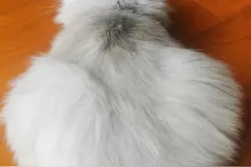 脚踝骨折三记（之二·休养记）图片
