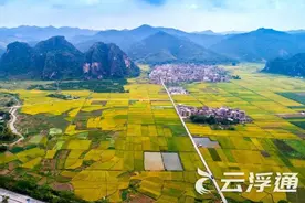 献礼百年华诞 | 苹塘镇：岭南泉耕小镇 中国美丽田园图片