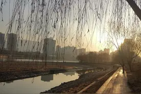 我的三个朋友图片