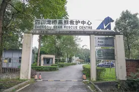 成都二圈层边缘区域购房探讨：金马可买吗？三道堰呢？阳光城呢？图片