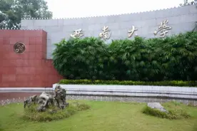 25岁即当教授、博导，这个重庆大学男神老师火了，毕业于西南大学图片