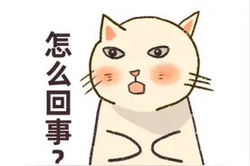 游泳馆停业，店家却告知只转卡不退款……律师：可起诉维权图片