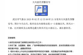 武汉发布大风蓝色预警图片