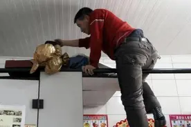 沈阳一小伙花50元租公厕当家，娶妻生子住了6年，每到晚上最难熬图片