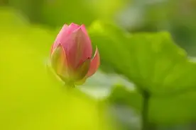 人生中的“苦”，熬过去就好了，你熬过了几个？图片