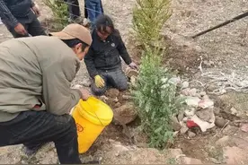 卡若区拉多乡社工站|春天社工开展“国土绿化、植树添绿”活动图片