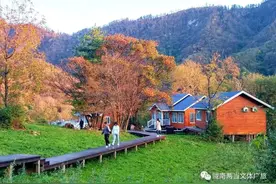 两当||秋日暖阳风景独好图片