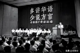 新马两国，力保华文教育图片