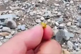 北京洪水后河道惊现黄金，警方：男子自购黄铜抛撒，已被刑事立案图片