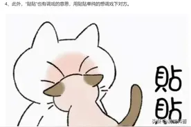 贴贴不仅能治愈emo，还能减肥？图片