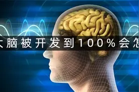 人类的大脑相当于什么配置的计算机？图片