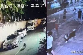 走失边牧遇出走金毛，俩狗去网吧通宵，主人：我在家哭你在外快活图片