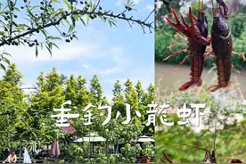 夏天来了，钓小龙虾赶快安排上~图片
