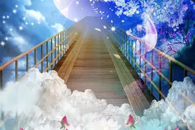 天龙八部后传（八十四）夜闯皇宫图片