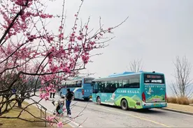 广阳岛的花都开好了 一起乘坐环岛观光车去赏春吧图片