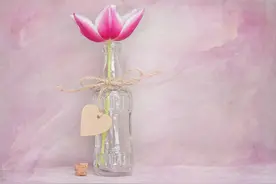 两个人缘尽的征兆：失去这些东西图片