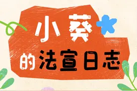 【法润童心 检察蓝护成长】小葵的法宣日志图片
